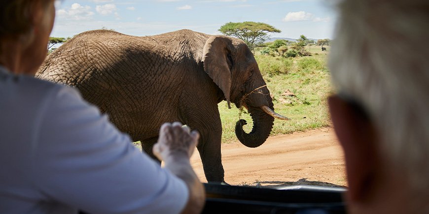 Elefant från bilen på safari i Tanzania