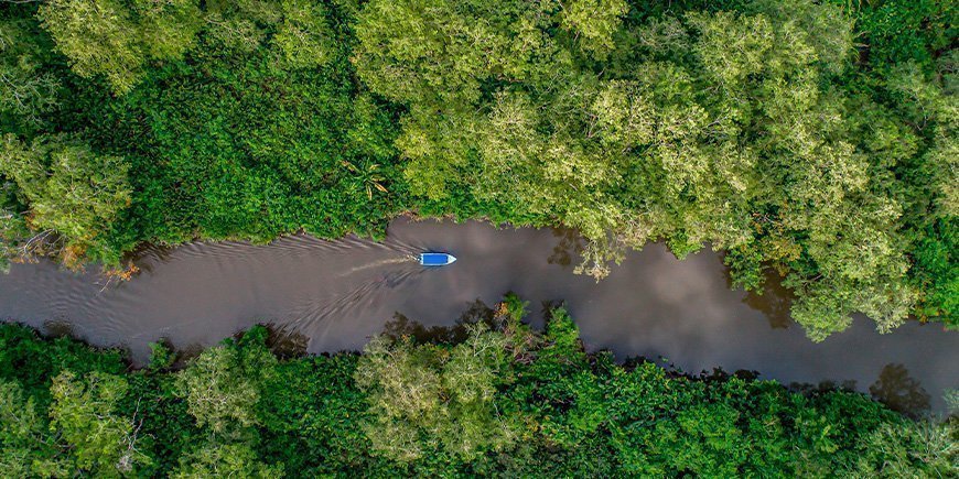 Floden Rio Sierpe sedd från ovan i Corcovado nationalpark i Costa Rica