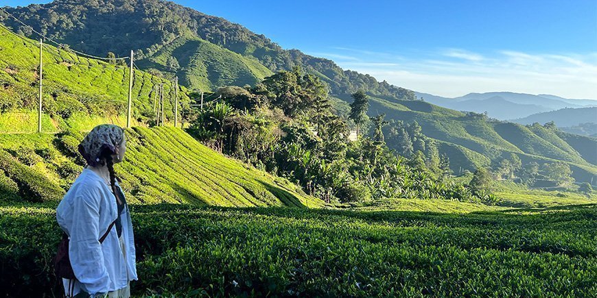 Ung kvinna promenerar i Sungai Palas Plantation i Cameron Highlands, Malaysia
