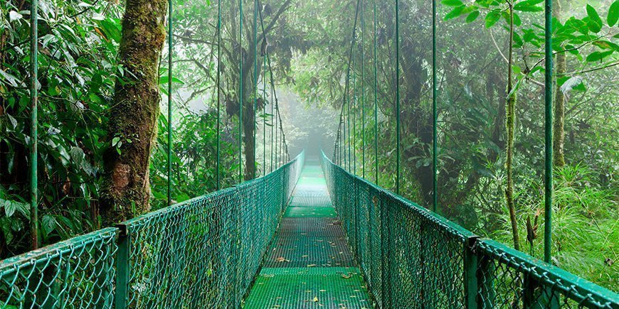 Dimma omger hängbron i Monteverde, Costa Rica