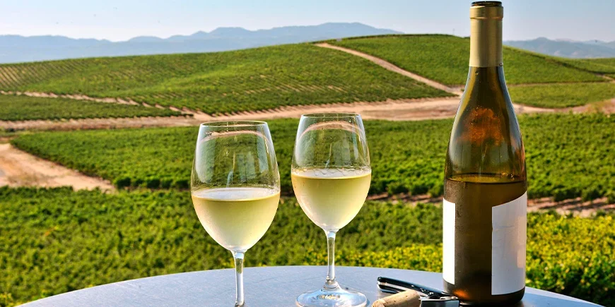 Två glas vin med utsikt över Napa Valley