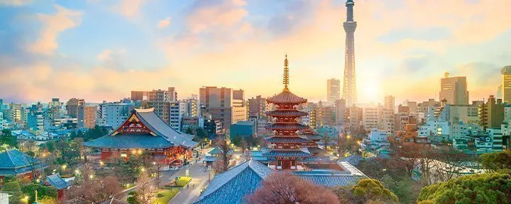 Tokyos silhuett med tempel och höga byggnader