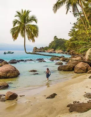 Palmträd på stranden på den vackra ön Ilha Grande i Brasilien
