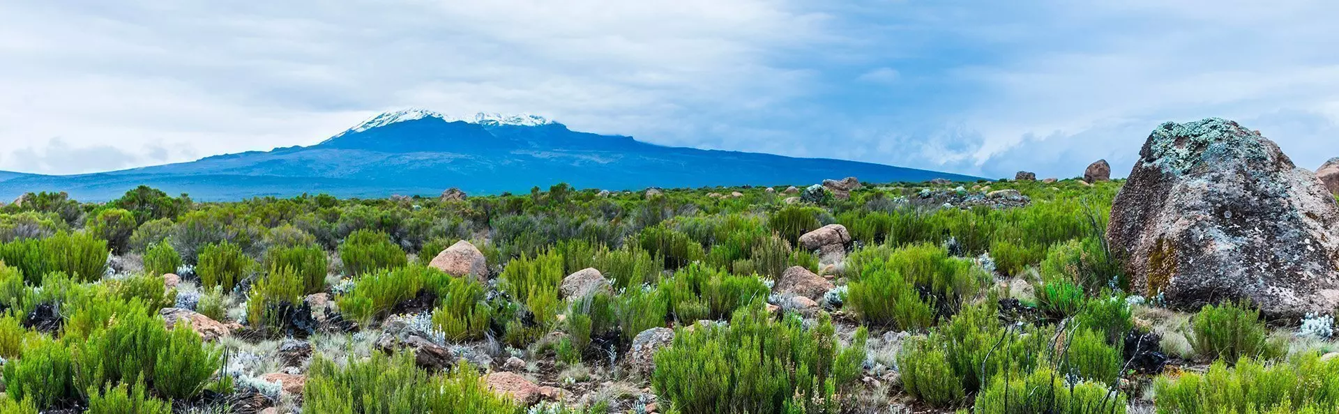 Utsikt från Lemosho-rutten över Kilimanjaro