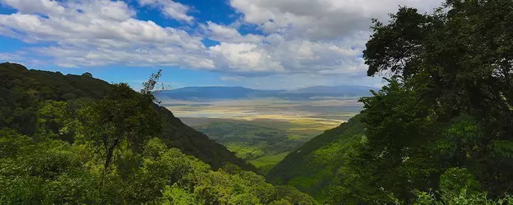 Översiktsbild från Ngorongoro i Tanzania