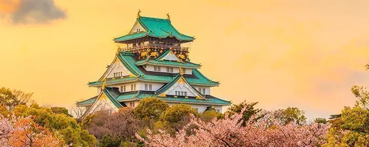 Osaka slott under Sakura i Osaka i Japan
