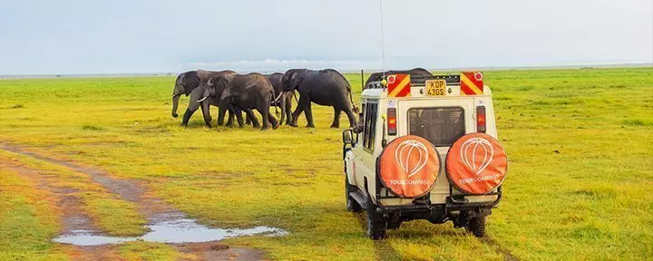 Safaribil och elefanter i Amboseli nationalpark, Kenya
