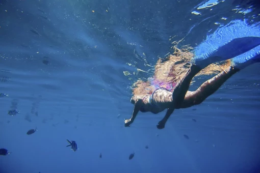 Mauritius vackra hav