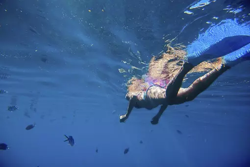 Mauritius vackra hav