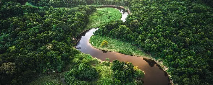 Flygfoto över Amazonas regnskog i Manaus i Brasilien