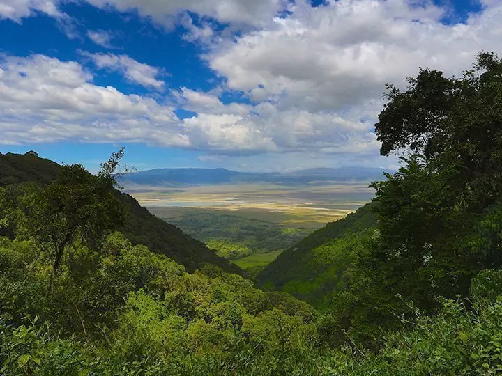 Översiktsbild från Ngorongoro i Tanzania